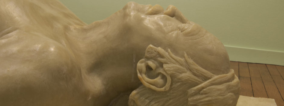 Un Pied-de-nez - Hervé Lesieur 2018